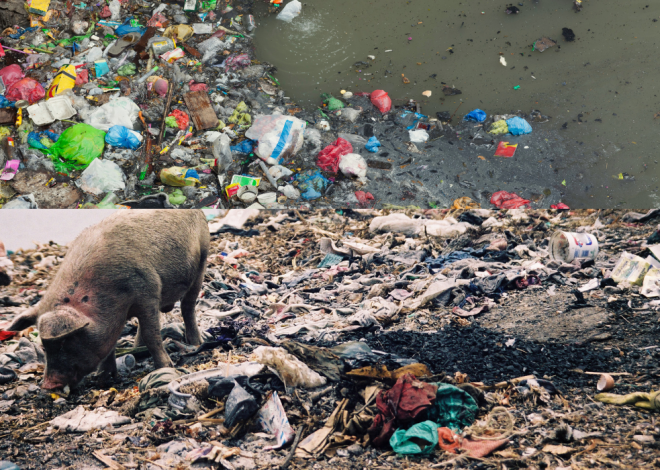 Nigeria : Les sachets d&rsquo;eau en plastique, un véritable fléau pour l&rsquo;environnement