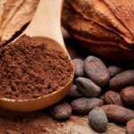 Côte d’Ivoire : Les Planteurs Espèrent une Forte Augmentation du Prix du Cacao