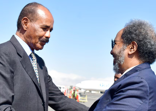 Visite du Président somalien Hassan Sheikh Mohamud en Érythrée