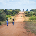 Uma situação preocupante na África Subsaariana
