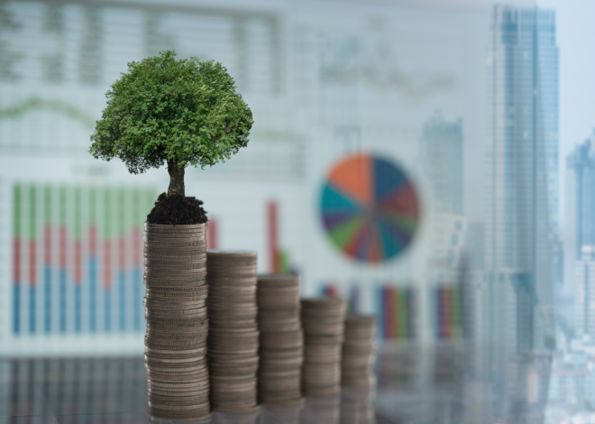 Togo: Plano de investimento de 33,5 milhões de euros para o desenvolvimento dos setores do cacau e do café até 2030