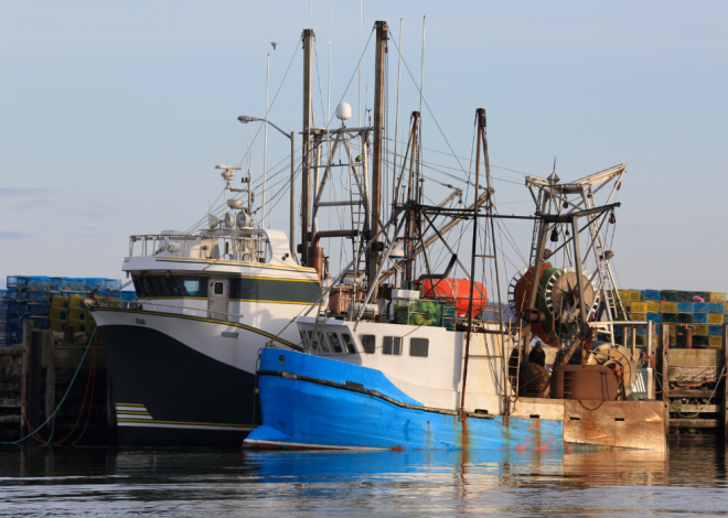 Fim do acordo de pesca entre a União Europeia e o Senegal: os barcos europeus sairão das águas senegalesas