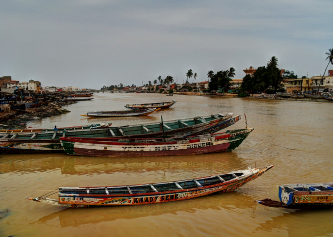 Crue du fleuve Sénégal : des milliers de sinistrés en situation de détresse