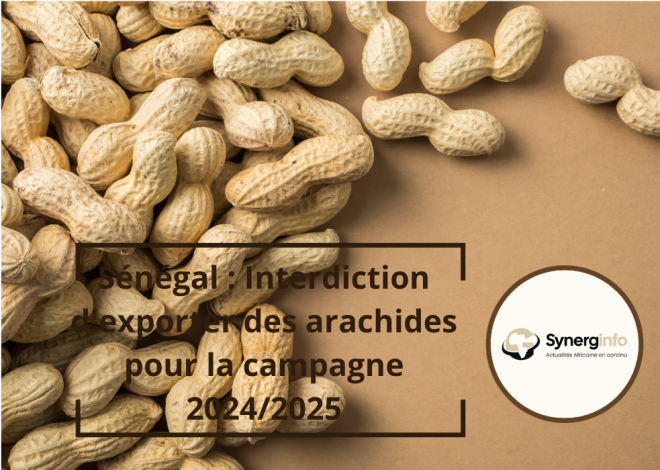 Sénégal : Interdiction d&rsquo;exporter des arachides pour la campagne 2024/2025