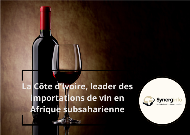 La Côte d’Ivoire, leader des importations de vin en Afrique subsaharienne