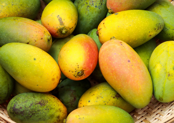 Côte d’Ivoire : Mobilisation de 22,5 millions $ pour une unité agro-industrielle dédiée à la mangue