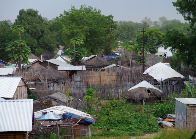 Sudão do Sul: Uma crise humanitária agravada pelo afluxo de refugiados sudaneses