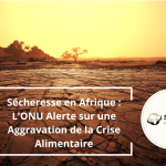 Drought in Africa: UN Warns of Worsening Food Crisis