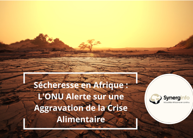 Sécheresse en Afrique : L&rsquo;ONU Alerte sur une Aggravation de la Crise Alimentaire