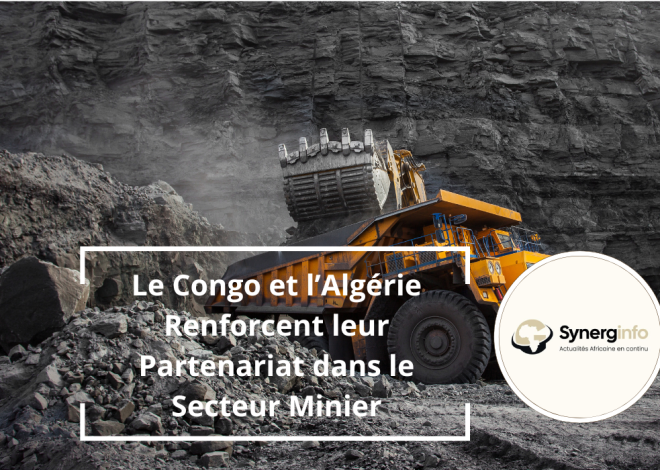 Congo e Argélia reforçam a sua parceria no sector mineiro
