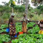 Tanzania and the European Union: agreements in favour of sustainable development and gender equality