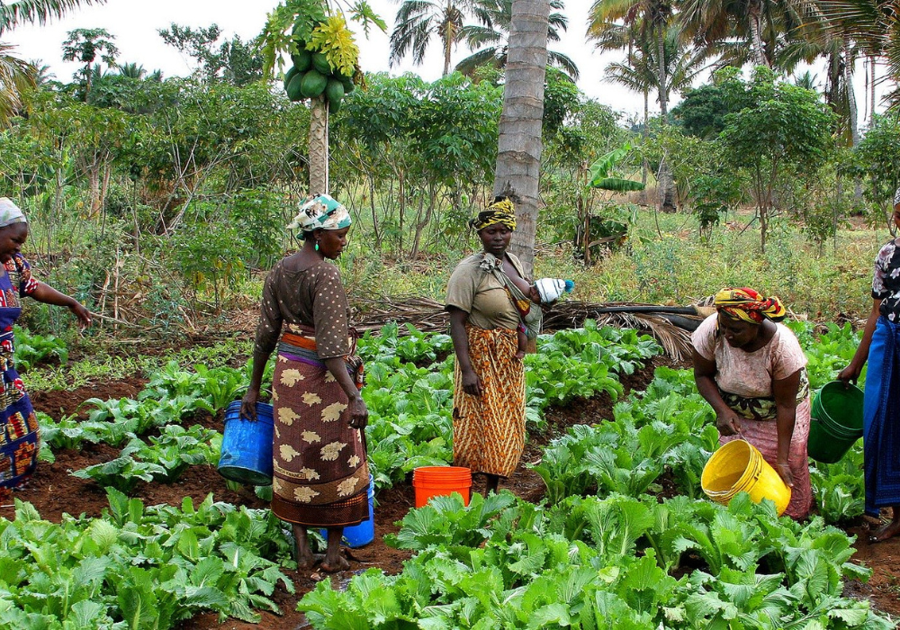 Tanzania and the European Union: agreements in favour of sustainable development and gender equality