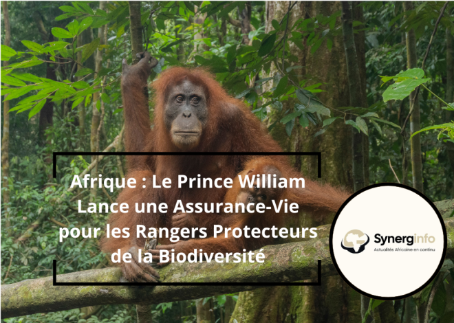 Afrique : Le Prince William Lance une Assurance-Vie pour les Rangers Protecteurs de la Biodiversité