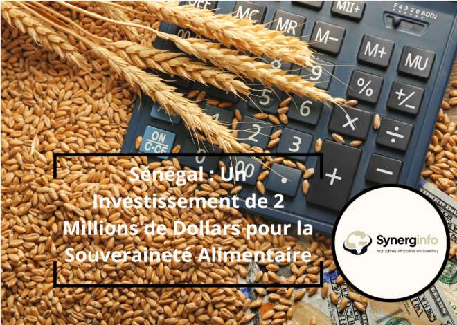 Senegal: um investimento de 2 milhões de dólares para a soberania alimentar