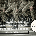 O Exército do Mali neutraliza membros de uma nova coligação para a independência