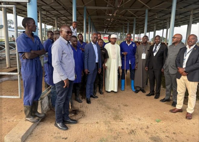 Sénégal : Mission d’Échange en Ouganda pour Booster la Filière Laitière