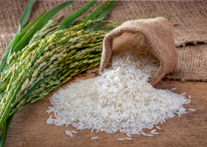 Une Académie pour Booster la Filière Riz en Côte d’Ivoire