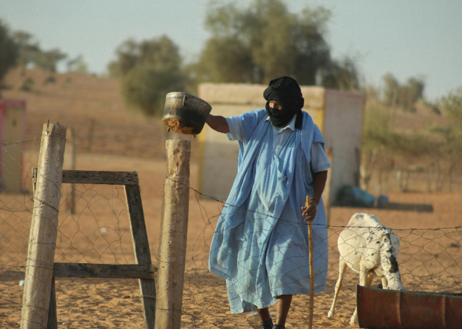 Senegal: MP calls for inquiry into expulsions of migrants to Mauritania