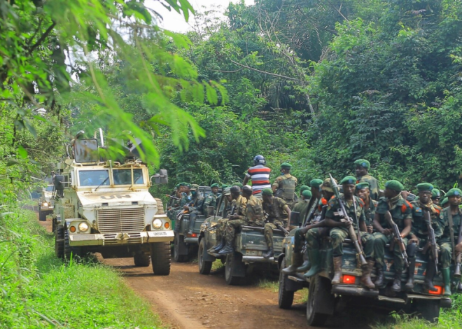 DRC: 23 people killed and 20 abducted by ADF rebels in the north-east