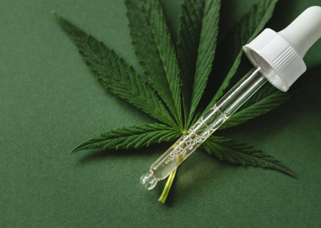 South Africa: Africa’s leading exporter of medical cannabis to Germany