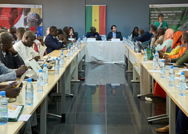 A new cooperation program between Senegal and Belgium