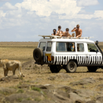 Croissance du Tourisme au Kenya en 2024