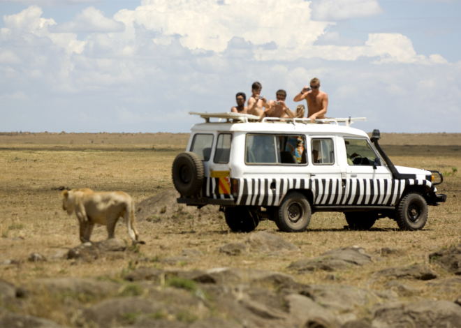 Tourism growth in Kenya in 2024