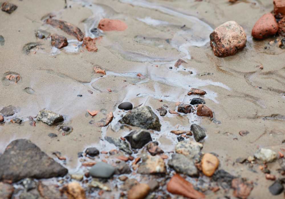 Zambia: An Ecological Catastrophe After an Acid Spill in the Kafue River