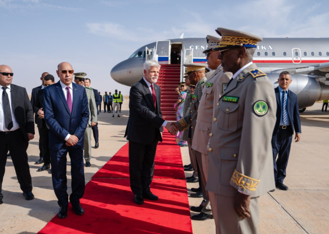 West Africa: Eastern Europe fills the gap left by France