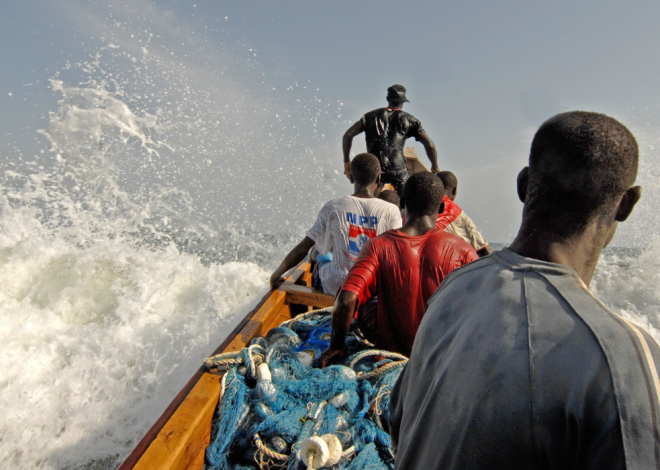 Mauritania: A program to train and integrate 1,000 young people in small-scale fishing