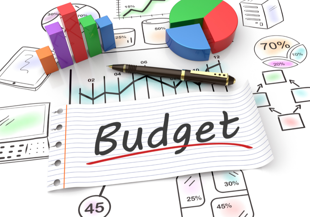 Afrique du Sud : l’ANC sous pression après l’adoption du budget 2025