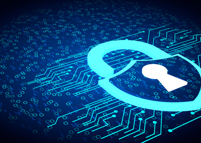 Presidential election 2025 in Cameroon: a new security flaw for Elecam?