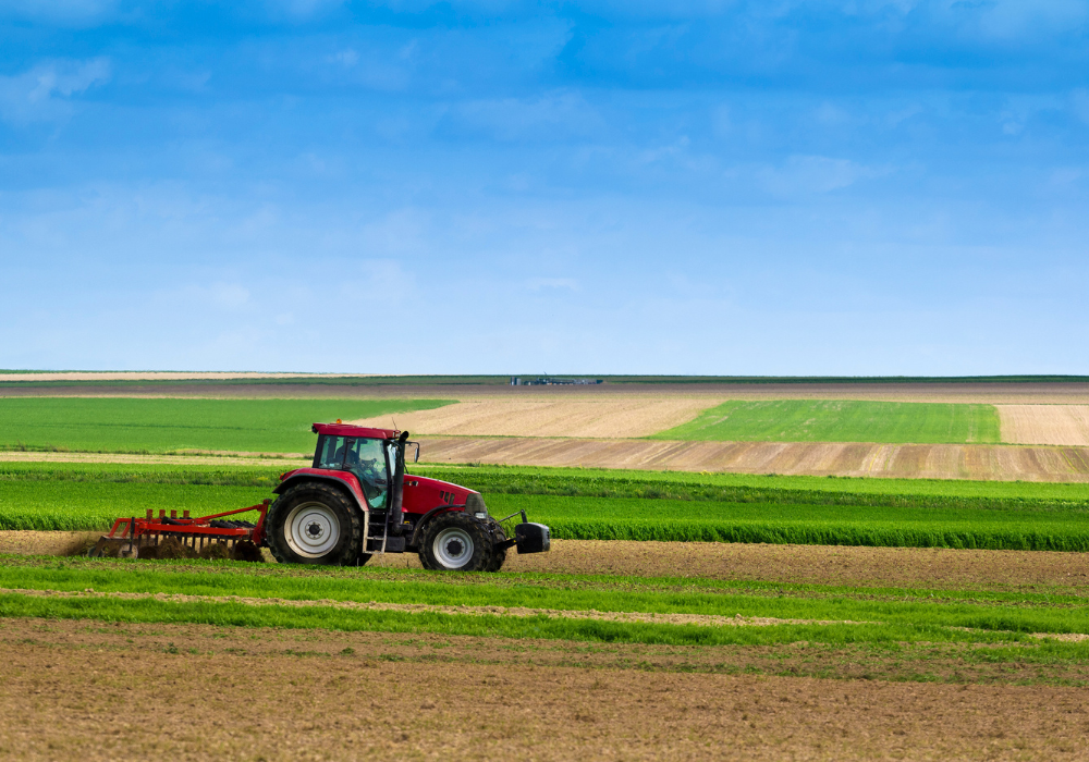 Souveraineté alimentaire : le Sénégal reçoit 230 millions $ de la Banque mondiale pour renforcer son agriculture