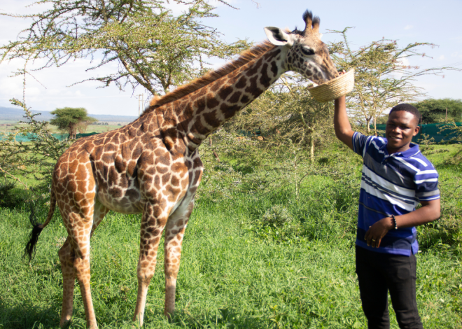 Rwanda : une nouvelle taxe touristique de 3 % sur l’hébergement dès juillet 2025