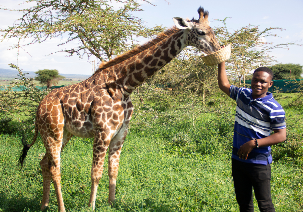 Rwanda : une nouvelle taxe touristique de 3 % sur l’hébergement dès juillet 2025