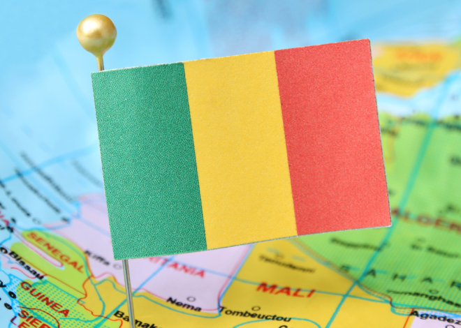 Mali : Vingt civils arrêtés à Diafarabé exécutés par l’armée, selon des témoins