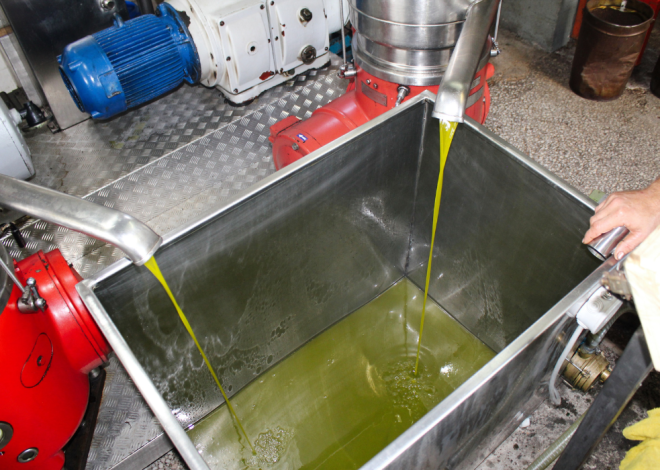 Congo-Brazzaville : Eni inaugure une usine d’huile végétale destinée à la production de biocarburant