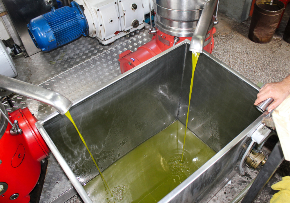 Congo-Brazzaville : Eni inaugure une usine d’huile végétale destinée à la production de biocarburant