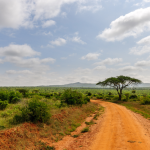 Une Enquête Internationale Confirme les Abus de Socfin en Afrique et en Asie