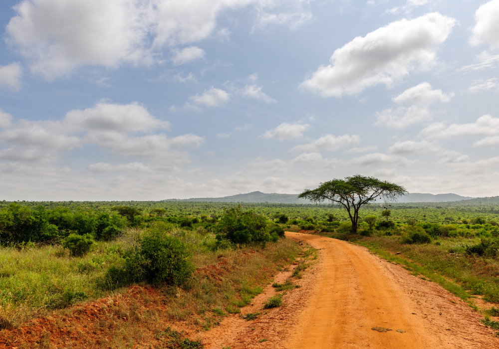 Une Enquête Internationale Confirme les Abus de Socfin en Afrique et en Asie