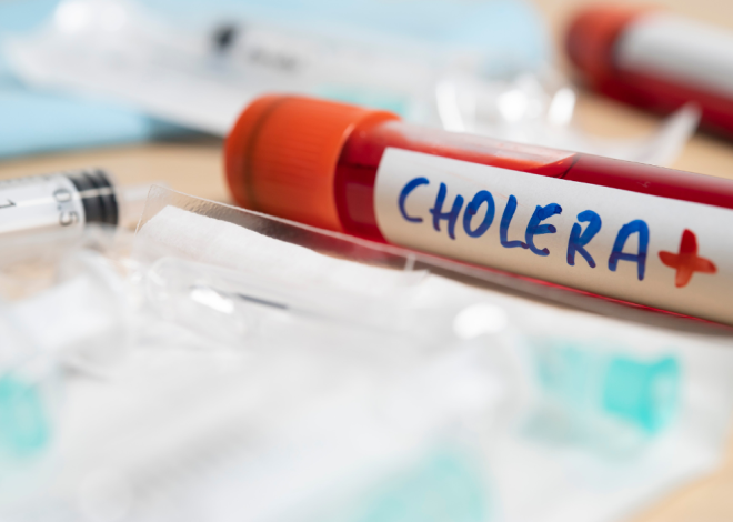 Épidémie de choléra à Kinshasa : prise en charge et sensibilisation dans le bidonville de Pakadjuma