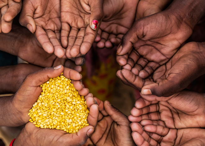 La faim dans le monde en légère baisse, mais l’Afrique en alerte