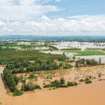Sénégal : à quelques jours du Grand Magal, Touba reprend le contrôle après les inondations