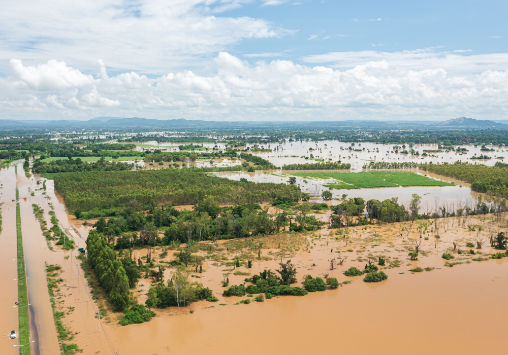 Sénégal : à quelques jours du Grand Magal, Touba reprend le contrôle après les inondations