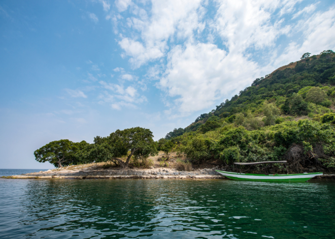 À la découverte des isambaza, les petites sardines du lac Kivu