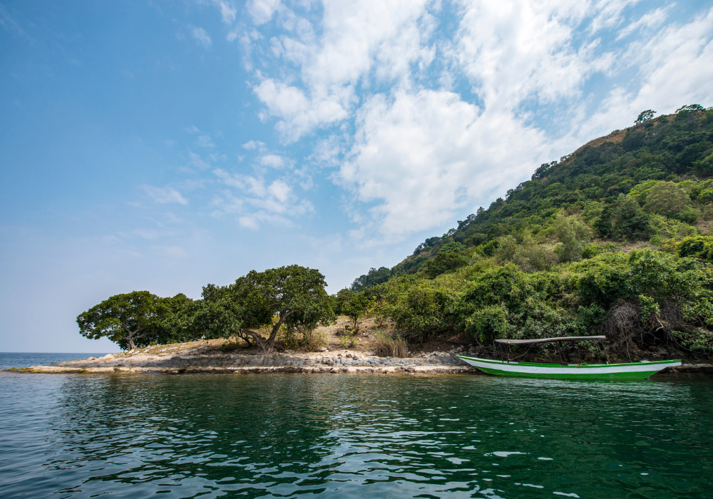 À la découverte des isambaza, les petites sardines du lac Kivu