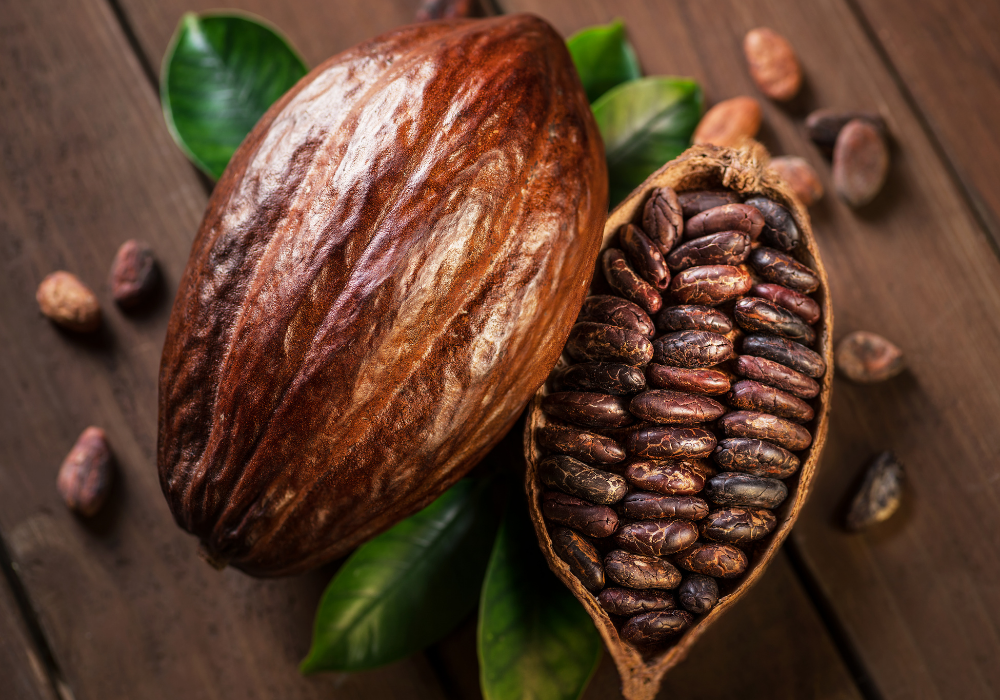 Ghana : une hausse du prix du cacao qui cache mal la réalité pour les producteurs