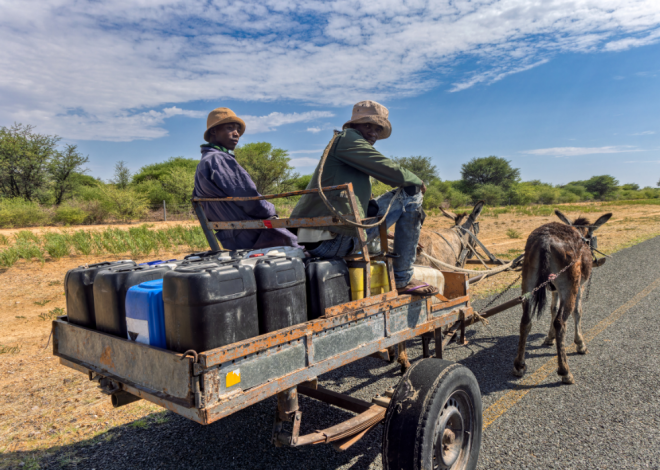 Somalie : la pénurie d’eau déclenche une grave crise sanitaire et économique