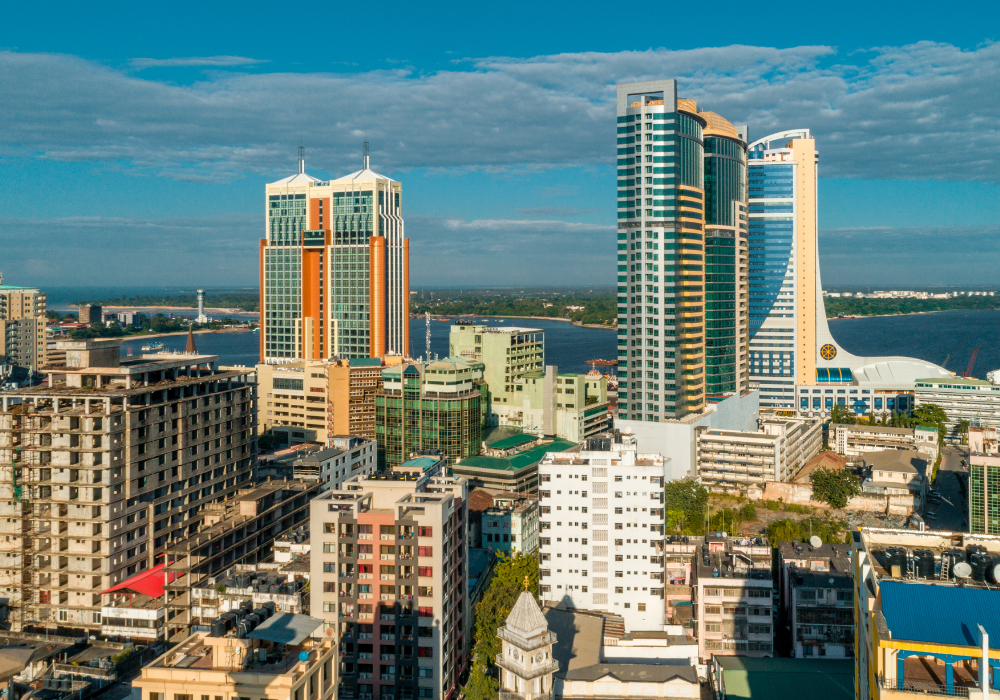 Tanzanie : protectionnisme économique, opportunités et risques